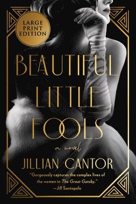 Jillian Cantor - Beautiful Little Fools, Häftad