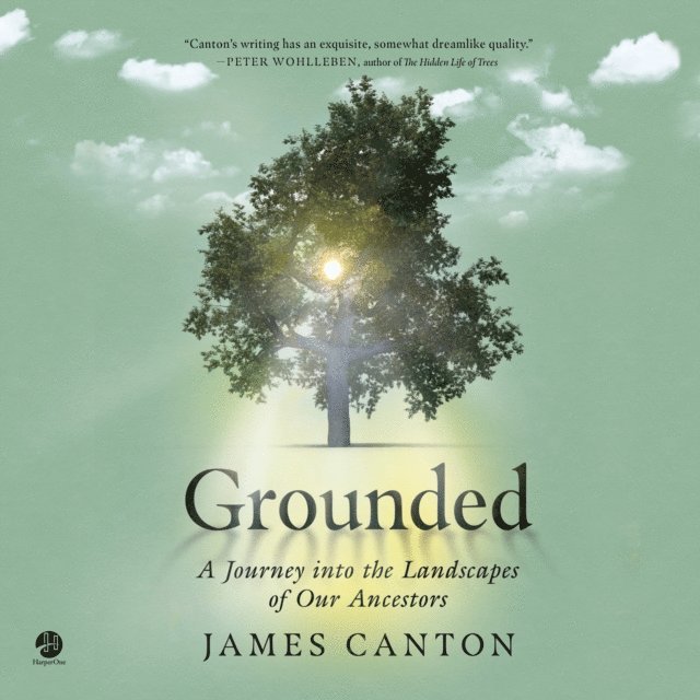 James Canton - Grounded, Ljudbok