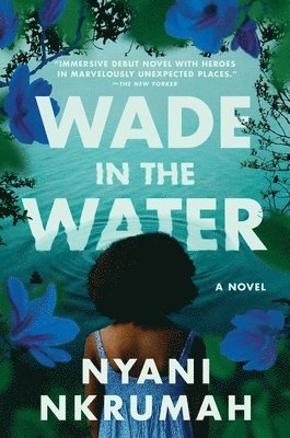 Nyani Nkrumah - Wade in the Water, Häftad