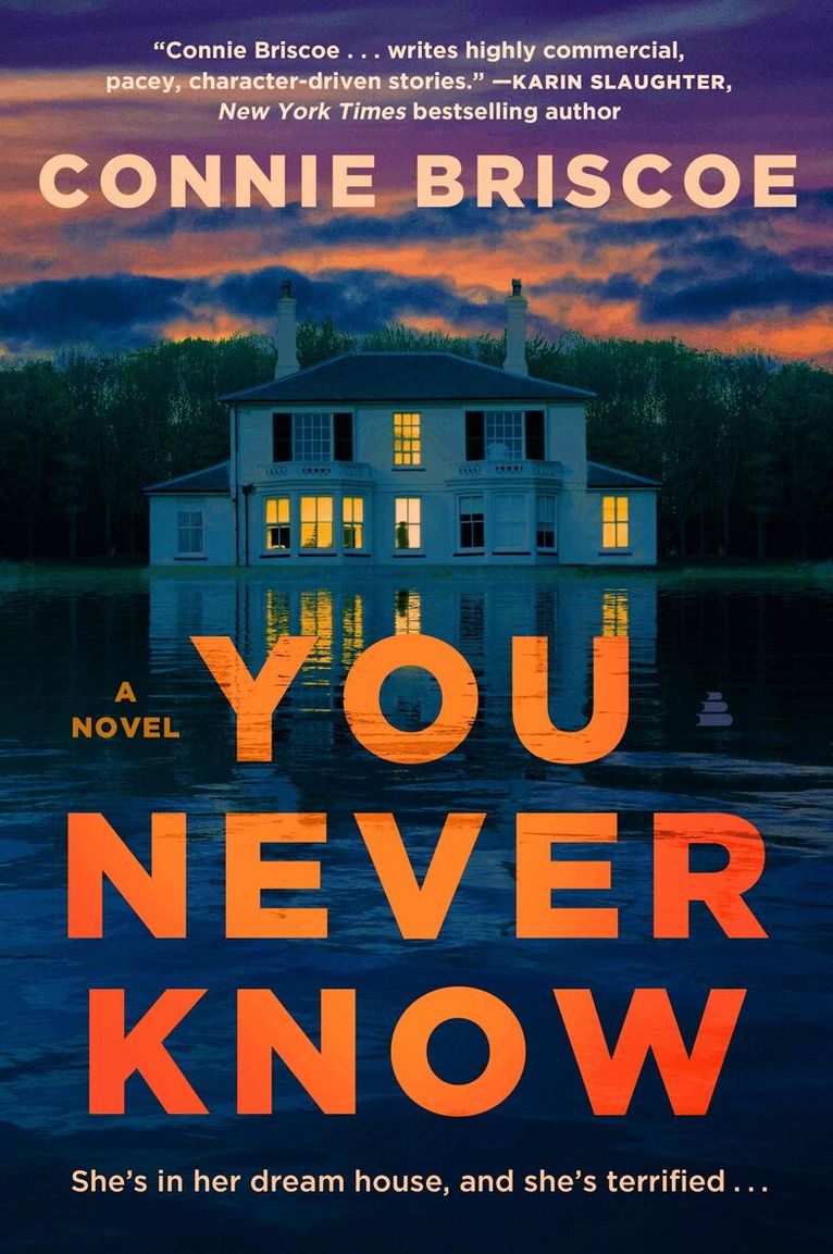 Connie Briscoe - You Never Know: A Novel, Häftad