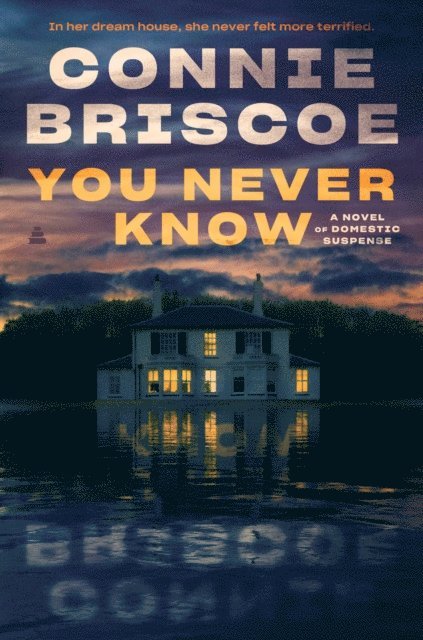 Connie Briscoe - You Never Know, E-bok