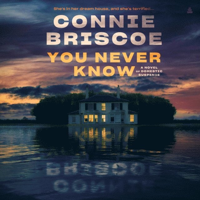 Connie Briscoe - You Never Know, Ljudbok