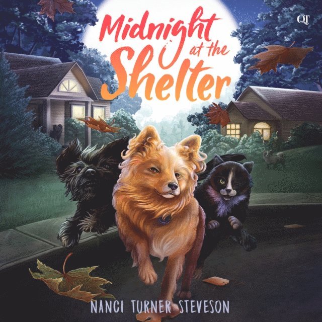 Nanci Turner Steveson - Midnight at the Shelter, Ljudbok. Tillgänglighet: Lägg i varukorg