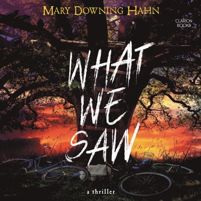 Mary Downing Hahn - What We Saw, Ljudbok