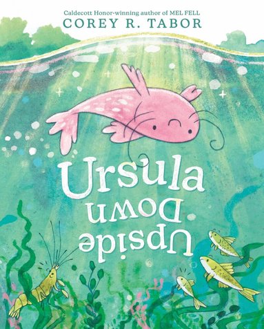 Corey R. Tabor - Ursula Upside Down, Inbunden