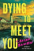 Dying to Meet You: A Domestic Thriller