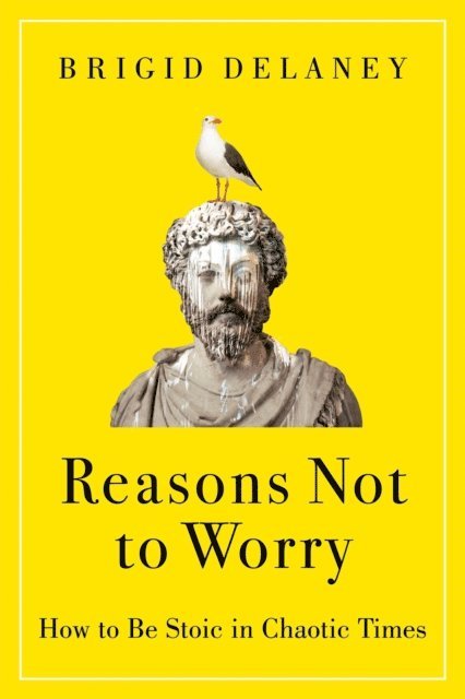 Brigid Delaney - Reasons Not to Worry, E-bok