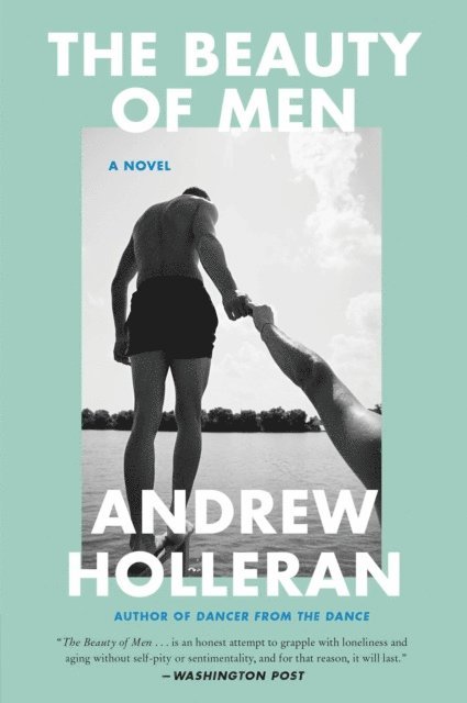 Andrew Holleran - Beauty of Men, E-bok