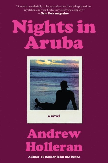 Andrew Holleran - Nights in Aruba, E-bok