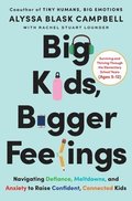 Big Kids, Bigger Feelings