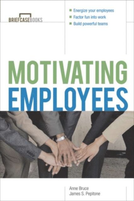 James S. Pepitone, Anne Bruce - Motivating Employees, E-bok