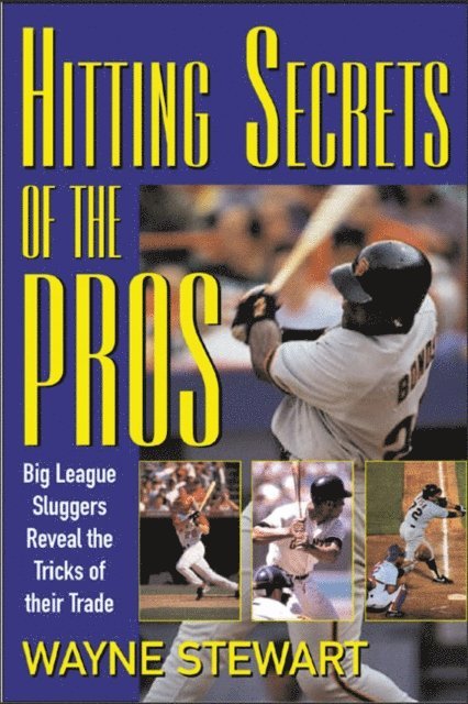 Wayne Stewart - Hitting Secrets of the Pros, E-bok