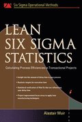 Lean Six Sigma Statistics