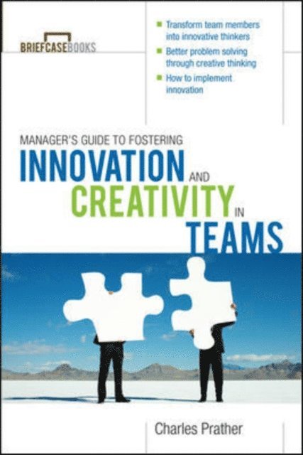 Manager's Guide to Fostering Innovation and Creativity in Teams