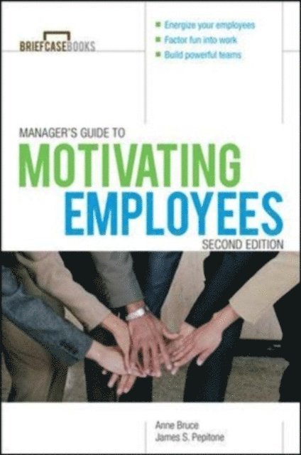 Anne Bruce - Manager's Guide to Motivating Employees 2/E, E-bok