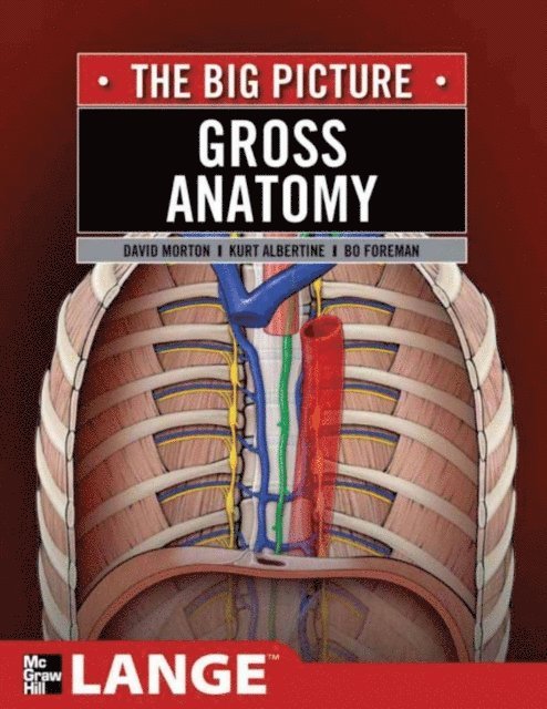 Kurt H. Albertine, K. Bo Foreman, David A. Morton - Gross Anatomy: The Big Picture, E-bok