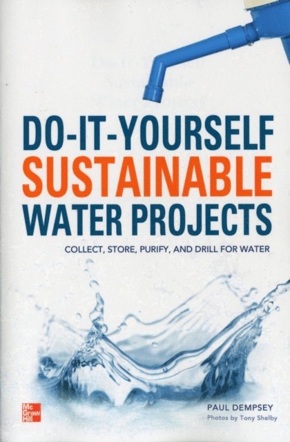 Paul Dempsey - Do-It-Yourself Sustainable Water Projects, E-bok