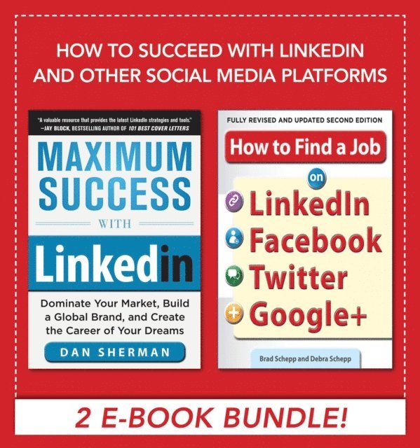 Debra Schepp, Brad Schepp, Dan Sherman - How to Succeed with LinkedIn and other Social Media Platforms, E-bok