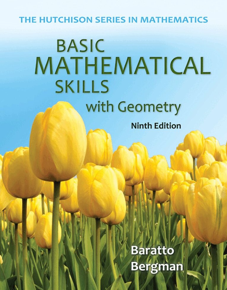 Stefan Baratto - Basic Mathematical Skills with Geometry, Häftad