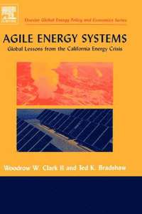 Agile Energy Systems