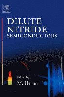 Mohamed Henini - Dilute Nitride Semiconductors, Inbunden