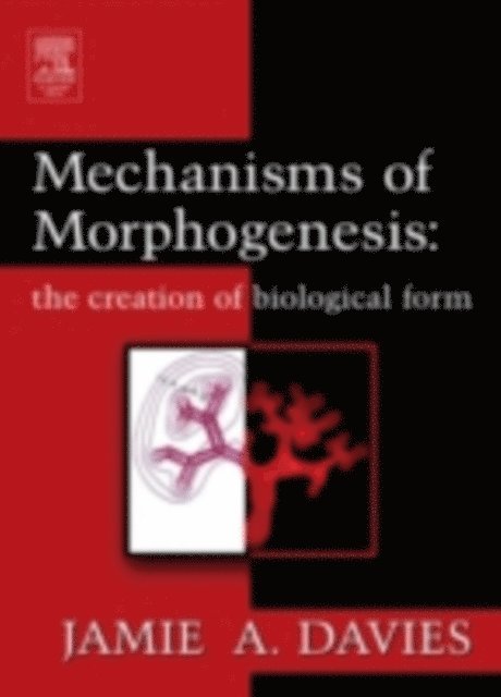 Jamie A. Davies - Mechanisms of Morphogenesis, E-bok