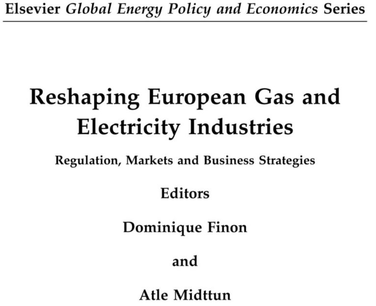 Atle Midttun, Dominique Finon - Reshaping European Gas and Electricity Industries, E-bok