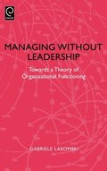 Managing without Leadership