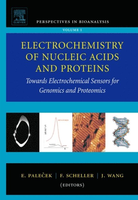 J. Wang, F. Scheller, E. Palecek - Electrochemistry of Nucleic Acids and Proteins, E-bok