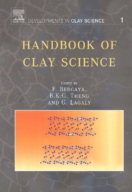 G. Lagaly, B.K.G. Theng, Faiza Bergaya - Handbook of Clay Science, E-bok