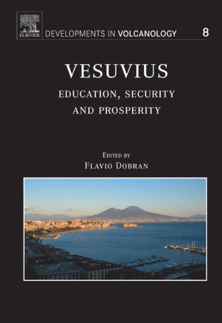 Flavio Dobran - Vesuvius, E-bok
