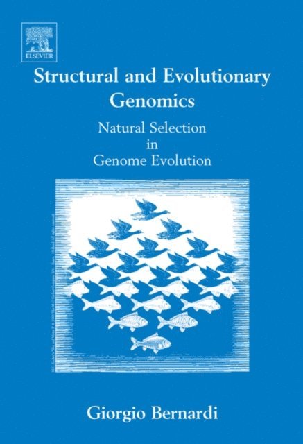 Giorgio Bernardi - Structural and Evolutionary Genomics, E-bok