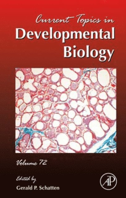 Current Topics in Developmental Biology, E-bok