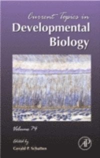Current Topics in Developmental Biology, E-bok
