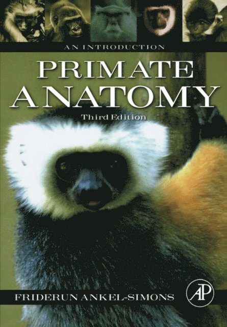 Friderun Ankel-Simons - Primate Anatomy, E-bok. Tillgänglighet: Lägg i varukorg