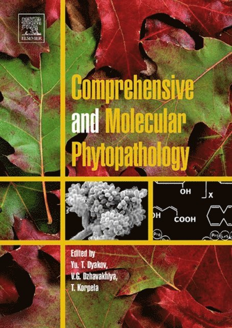 Timo Korpela, Vitaly Dzhavakhiya, Yuri Dyakov - Comprehensive and Molecular Phytopathology, E-bok