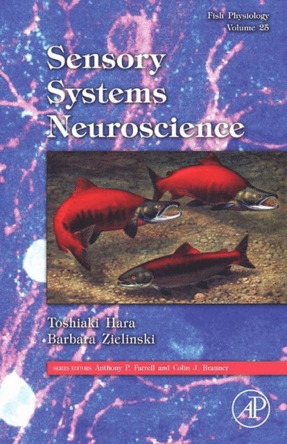Barbara Zielinski, Toshiaki J. Hara - Fish Physiology: Sensory Systems Neuroscience, E-bok