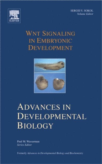 Sergei Y. Sokol - Wnt Signaling in Embryonic Development, E-bok