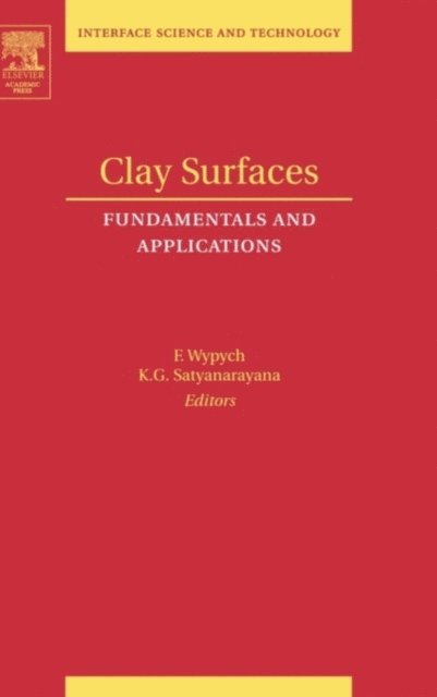 Fernando Wypych - Clay Surfaces, E-bok