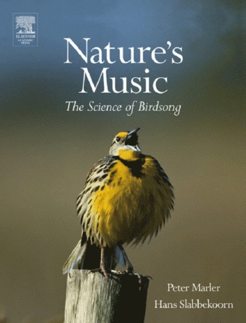 Hans Slabbekoorn, Peter R. Marler - Nature's Music, E-bok