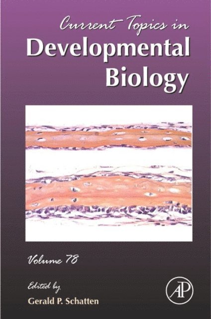 Current Topics in Developmental Biology, E-bok