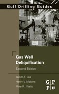 Gas Well Deliquification