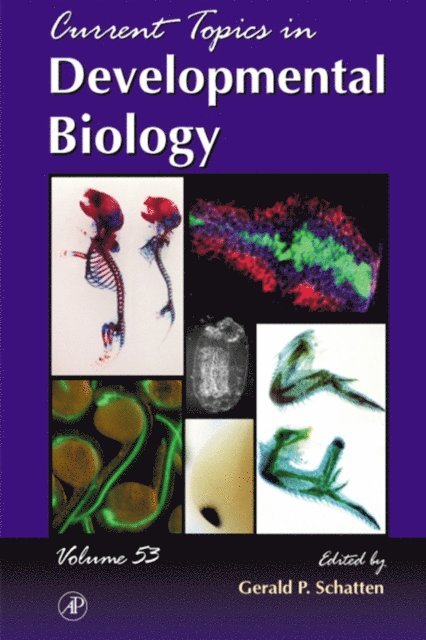Gerald P. Schatten - Current Topics in Developmental Biology, E-bok
