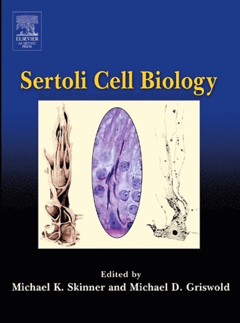 Michael D. Griswold, Michael K. Skinner - Sertoli Cell Biology, E-bok. Tillgänglighet: Lägg i varukorg
