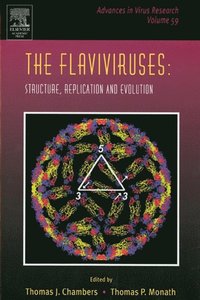 Flaviviruses: Structure, Replication and Evolution