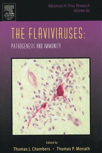 Flaviviruses: Pathogenesis and Immunity