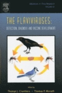 Flaviviruses: Detection, Diagnosis and Vaccine Development