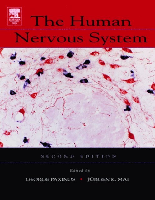 Juergen K Mai, George Paxinos - Human Nervous System, E-bok
