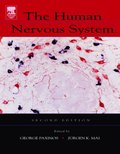 Human Nervous System
