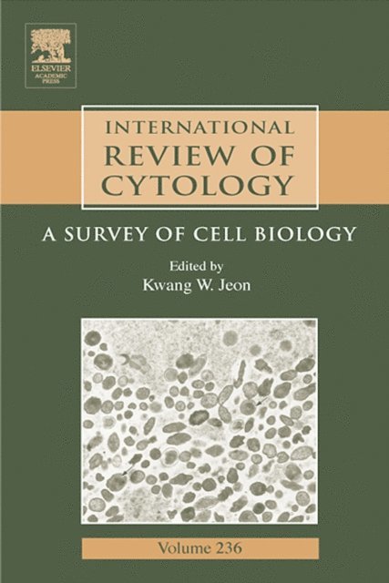 Kwang W. Jeon - International Review of Cytology, E-bok